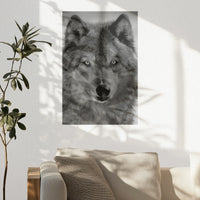 PO-020W030