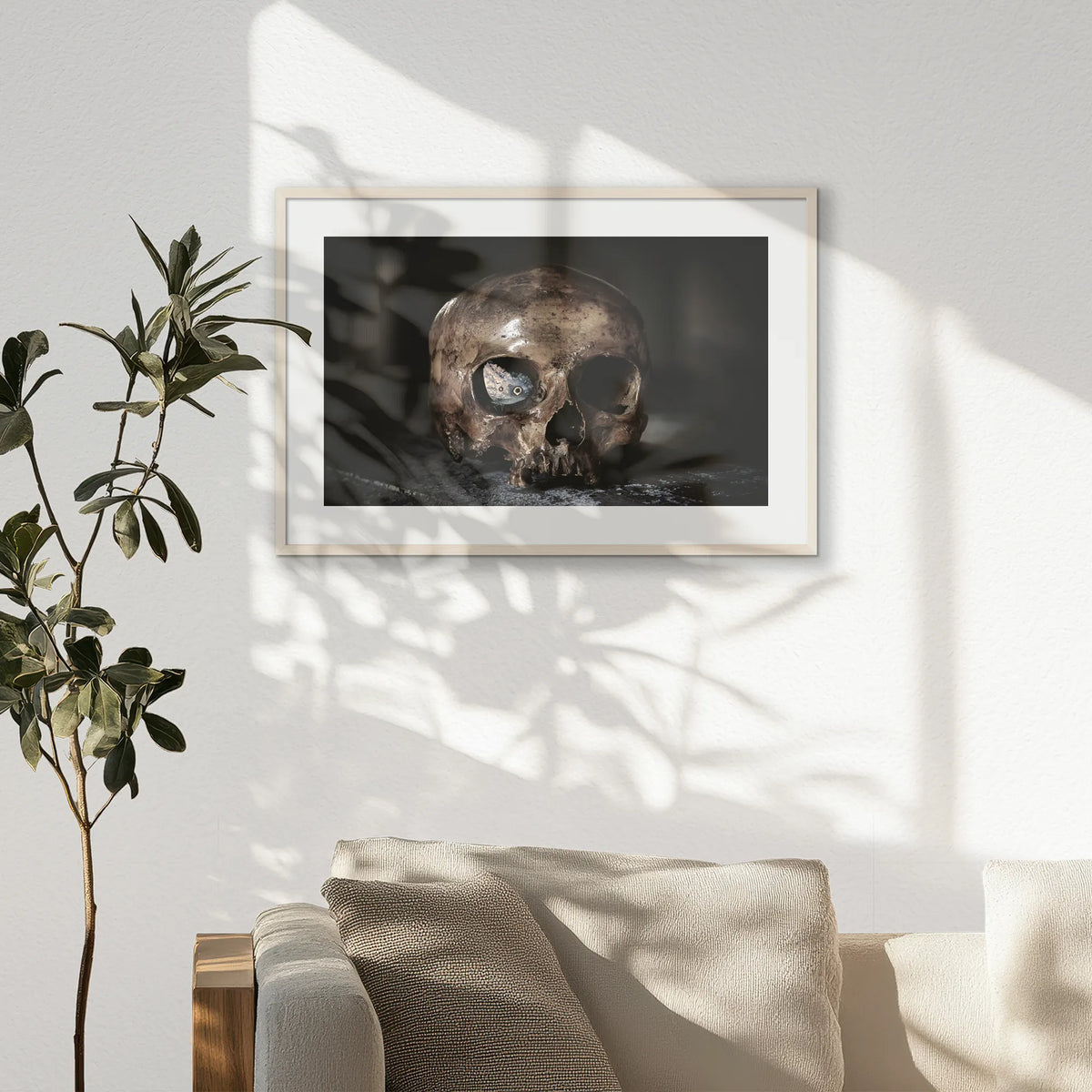 PNP093W062