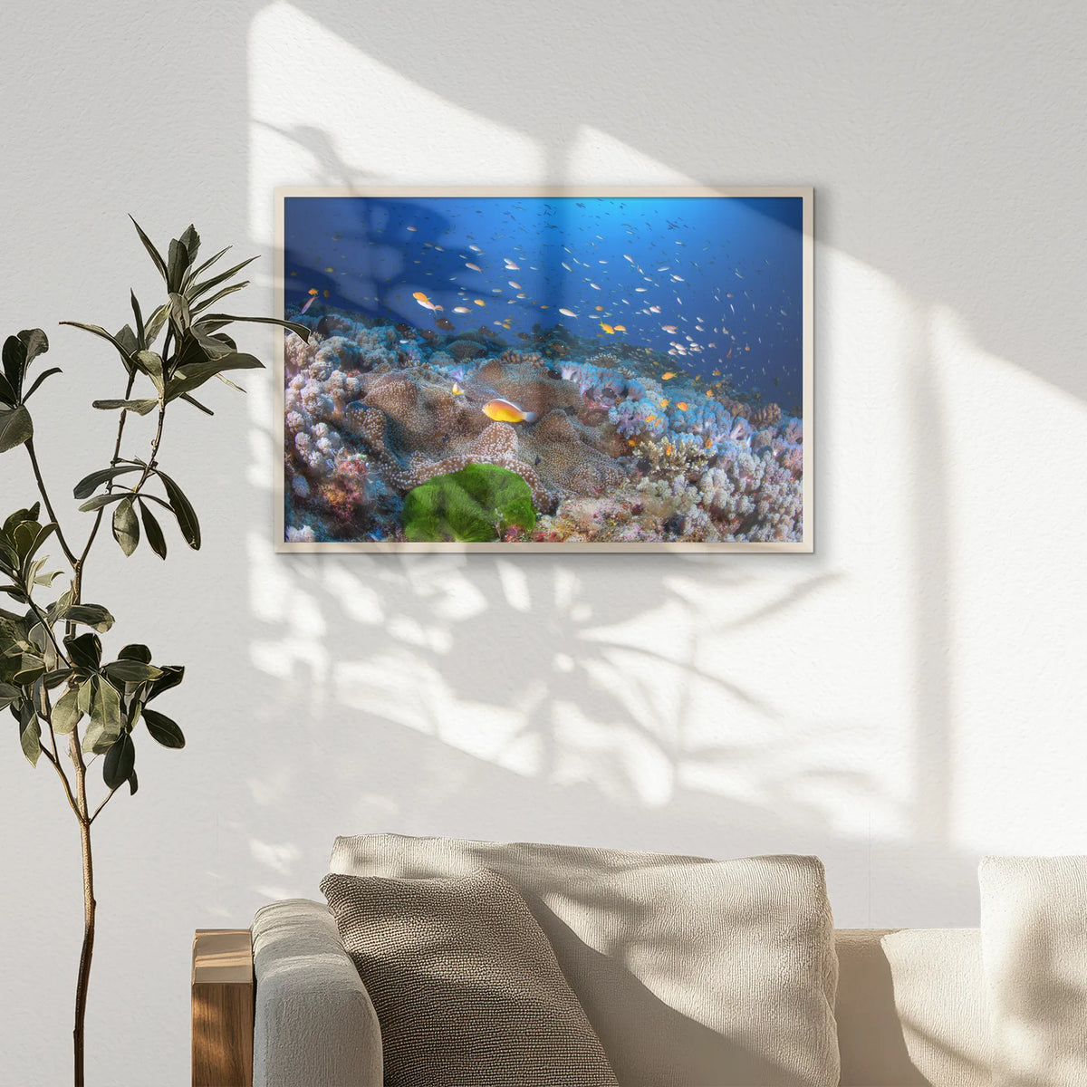PN-093W062