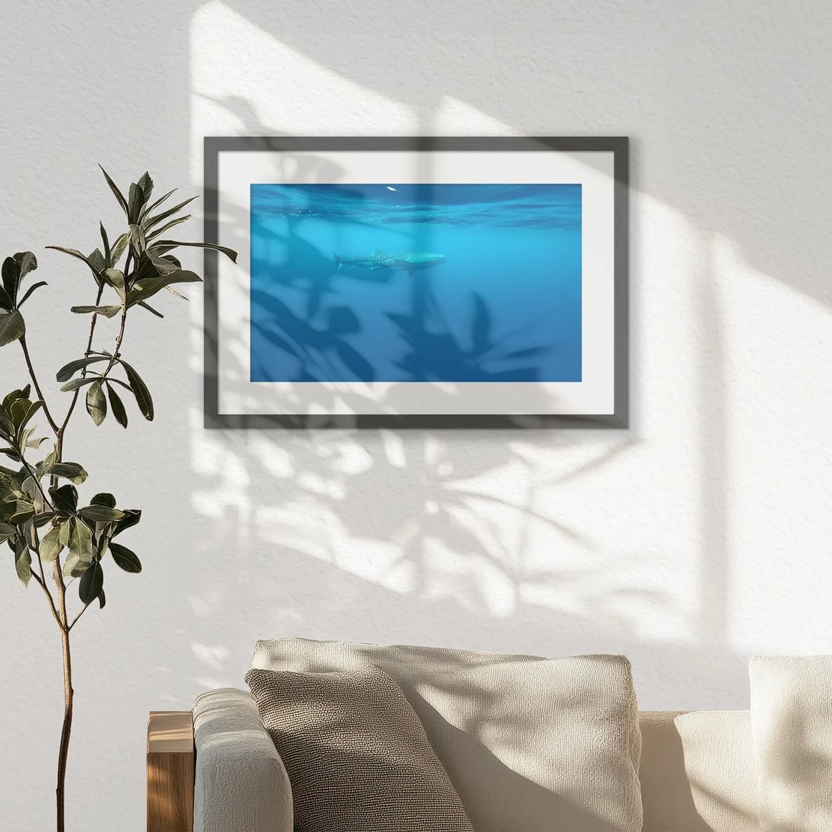 PKP060W040