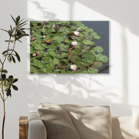 AL-030W020