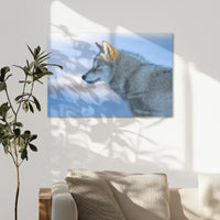 AC-075W050