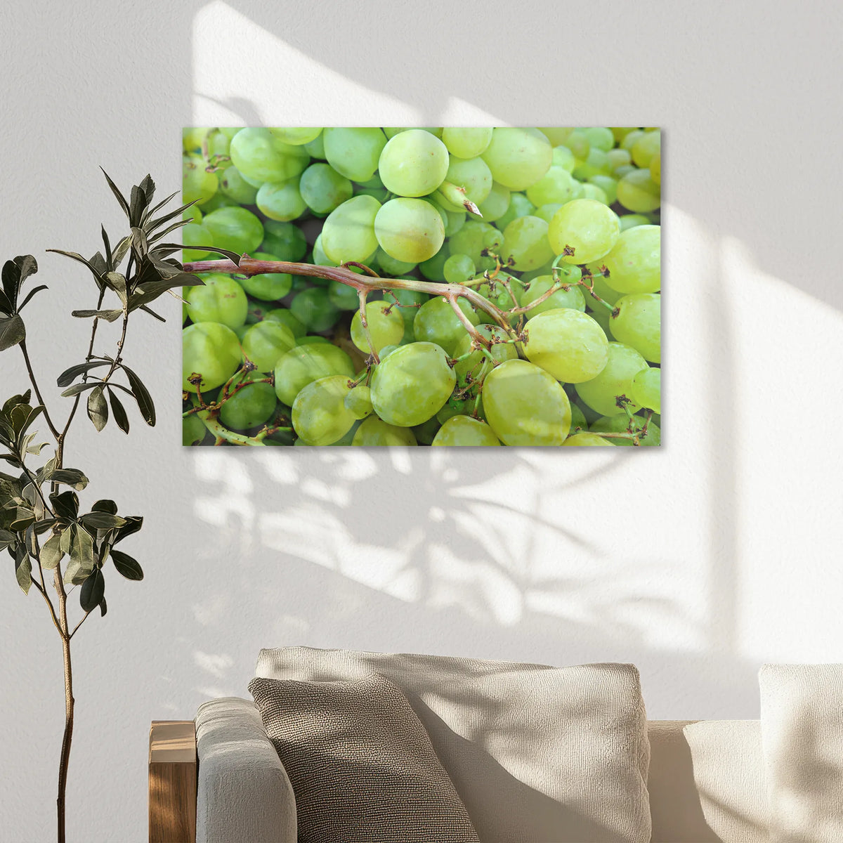 AC-075W050