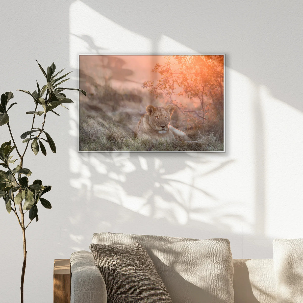PS-093W062