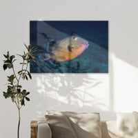 LW-120W080