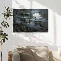 AL-045W030