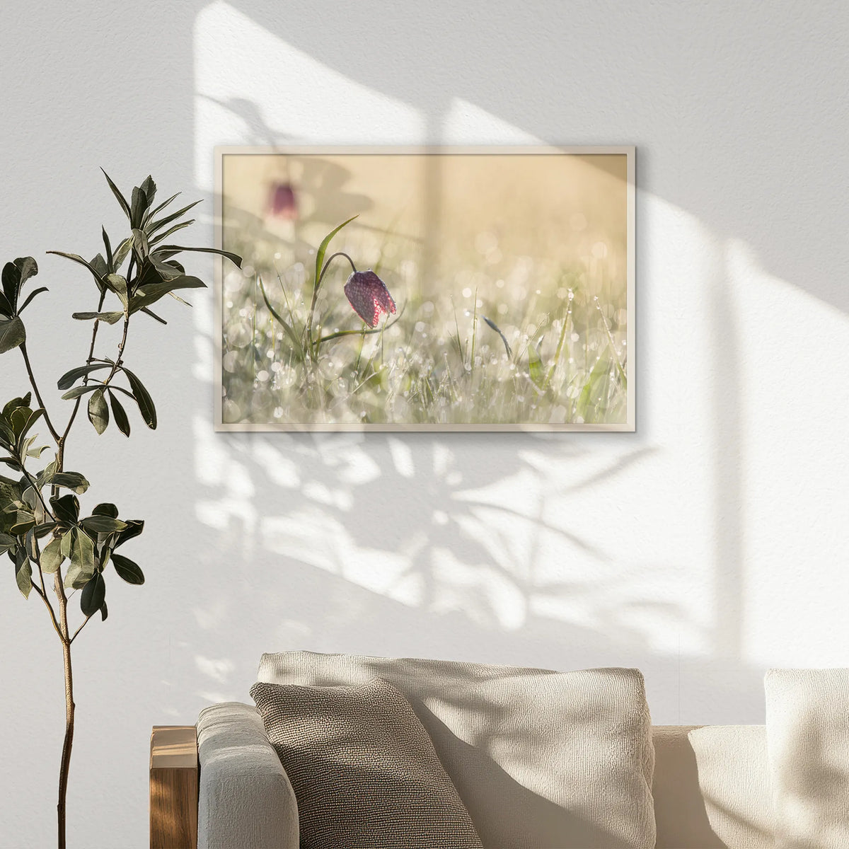 PN-093W062