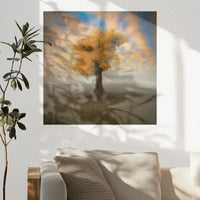 PO-030W030