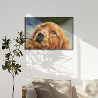 LWN100W070
