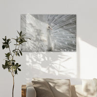 LW-120W080