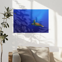 PO-045W030