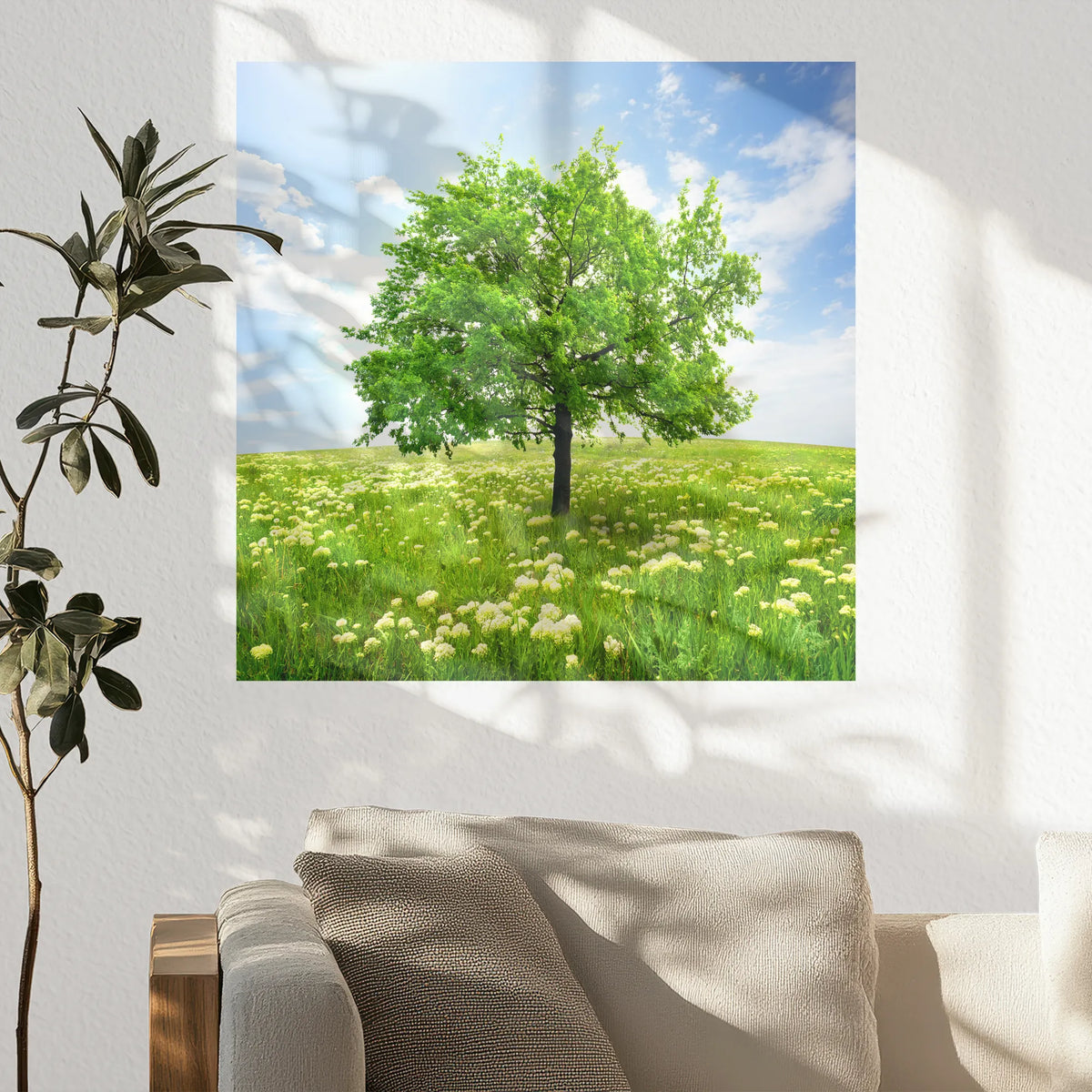 PO-050W050