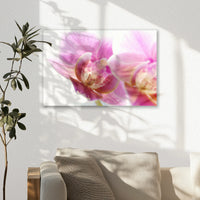 AL-045W030