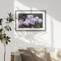 PBP060W040