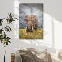 LW-050W075
