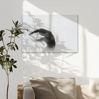 AC-075W050