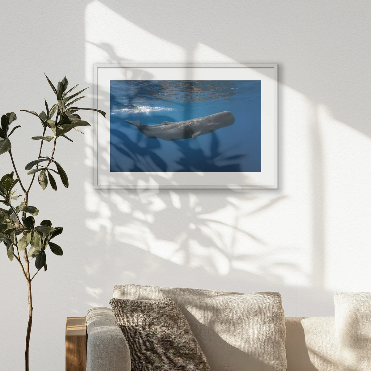 PWP093W062