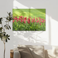 AC-075W050