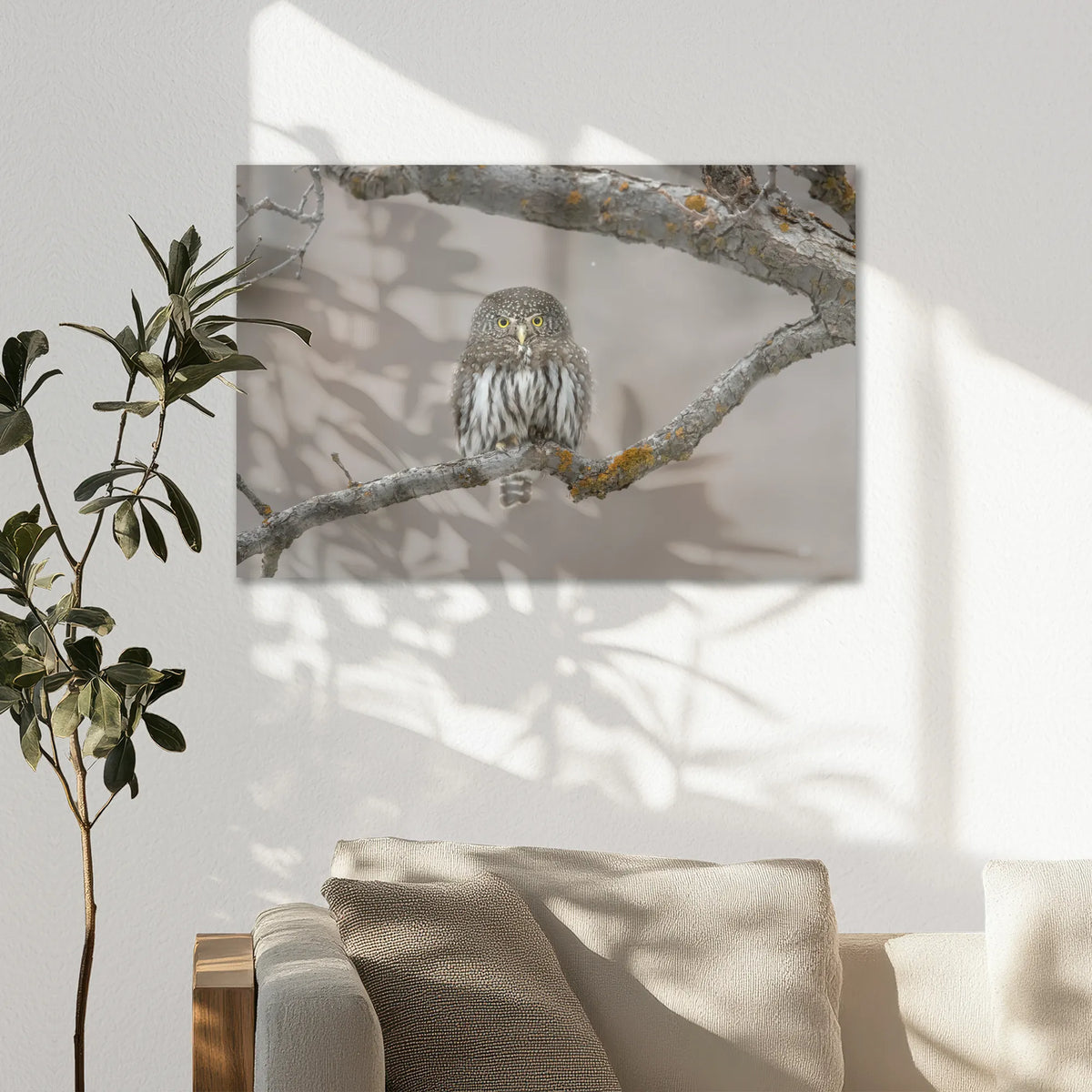 AC-075W050