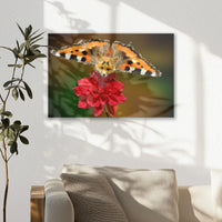 AC-045W030