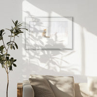 PSP060W040