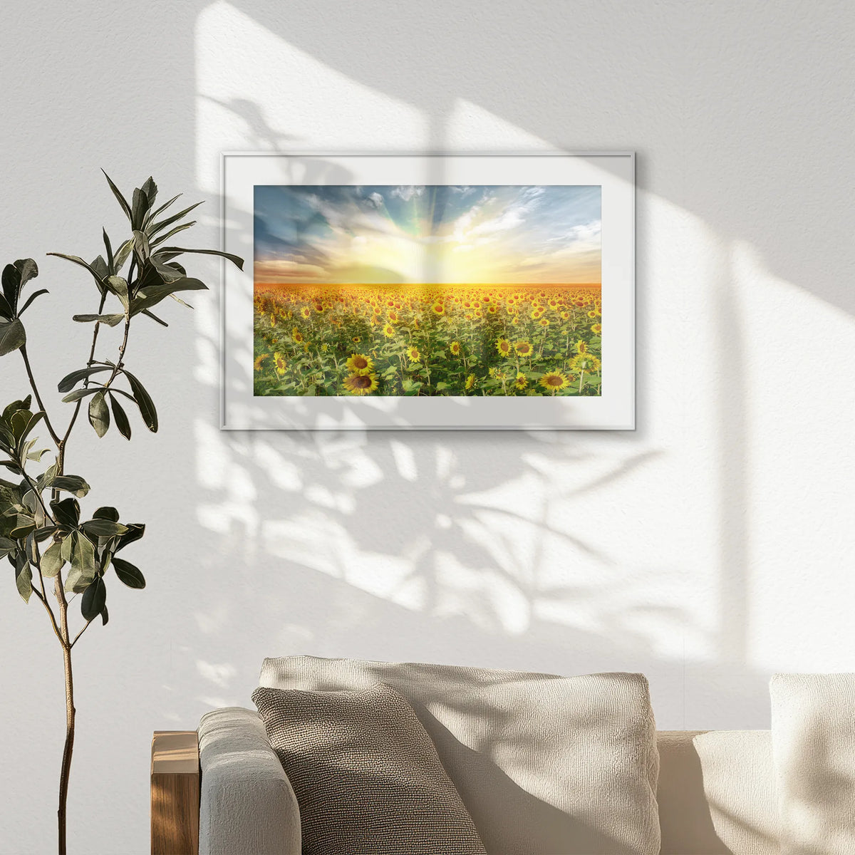 PSP093W062