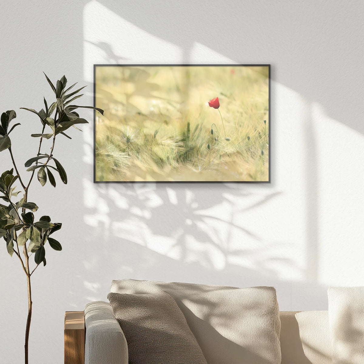 PB-093W062