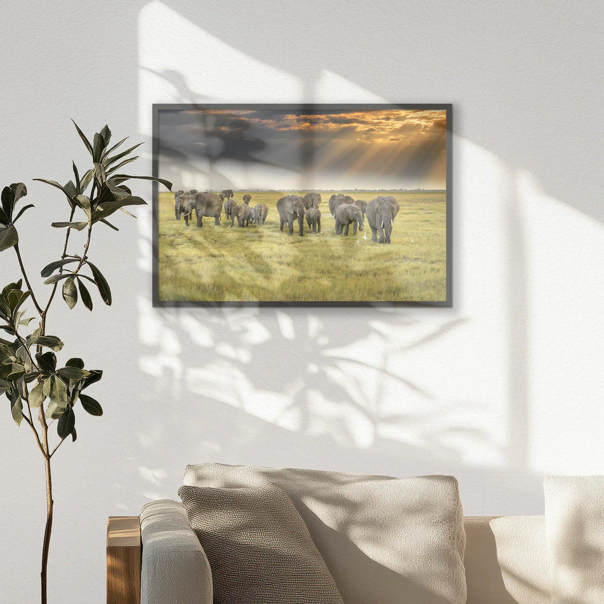 PK-093W062