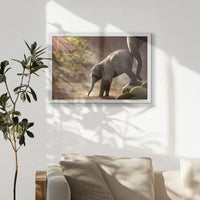 LWW060W040